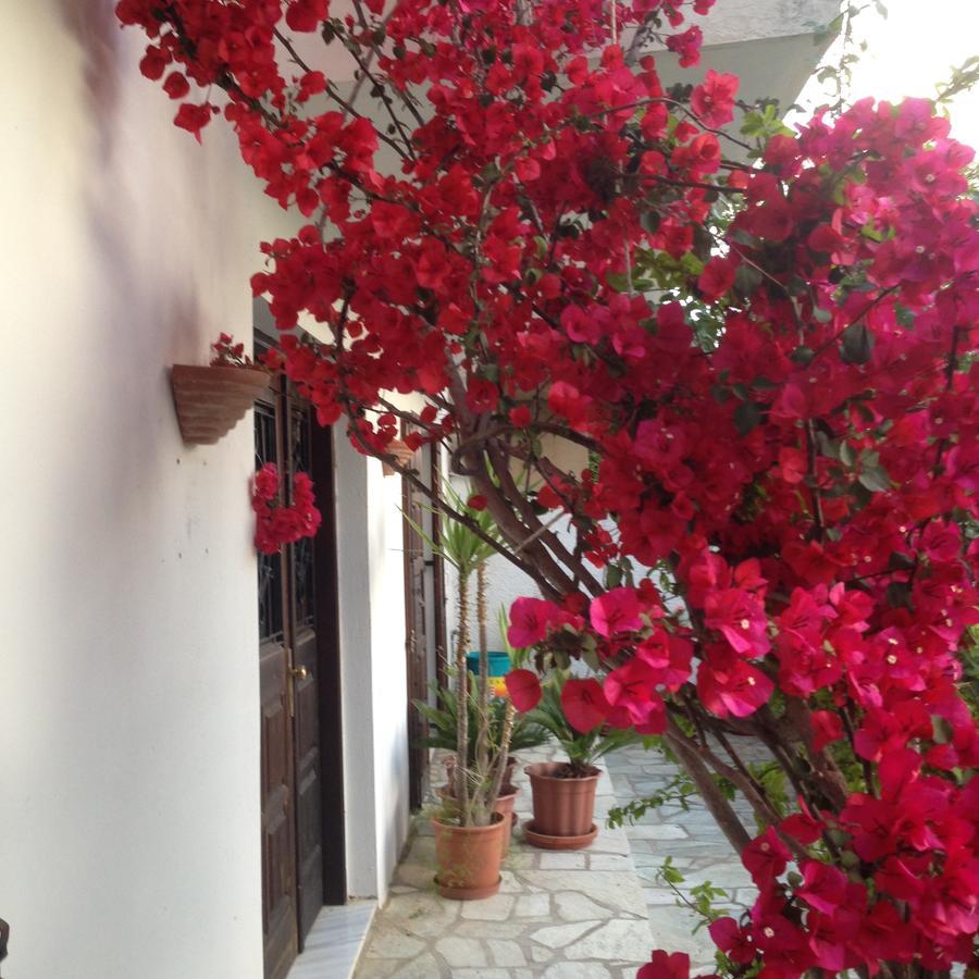 Mimoza Studios Skiathos Town Exterior foto