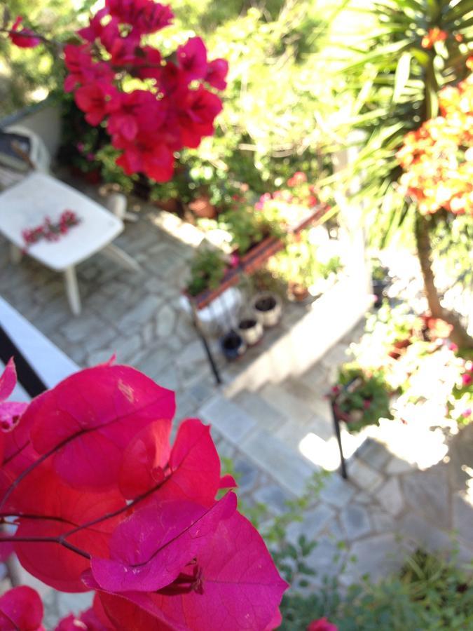 Mimoza Studios Skiathos Town Exterior foto